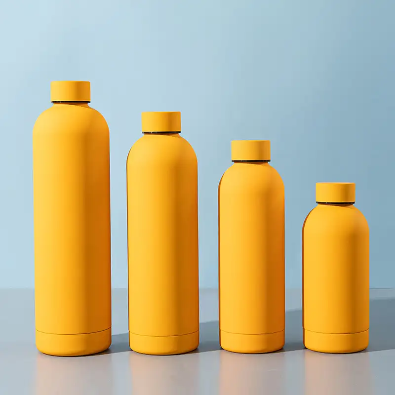 Vacuum Insulated Narrow Mouth Water Bottles-2 Vacuum Insulated Narrow Mouth Water Bottles